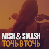 Точь в точь - Mish