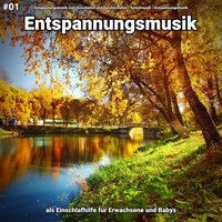 Töne für Dich - Entspannungsmusik & Schlafmusik & Entspannungsmusik zum Einschlafen und Durchschlafen