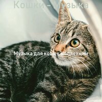 Моменты (Кошки) - Музыка для кошек Коллекции