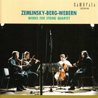 String Quartet No. 1 in A Major, Op. 4: IV. Vivace e con fuoco - The Vienna String Quartet & Alexander von Zemlinsky