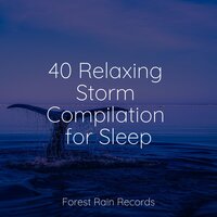 Rain in Window - Rain Sound Studio & Relaxation Sleep Meditation & Entspannungsmusik