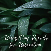 Soothing Holiday Rumble - Forest Rain FX & The Rain Library & Rain Sounds ACE