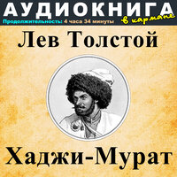 Глава 5, Чт. 2 - Аудиокнига в кармане & Максим Доронин