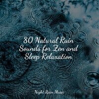Ocean, Jetty, Small, Light Metal - Spa Music Relaxation & The Sleep Specialist & Rain Drops for Sleep