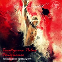 Consonance - Twentynine Palms & Rawness