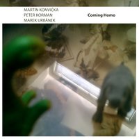 Vetrovodohukošumy - Peter Korman & Marek Urbánek & Martin Konvička