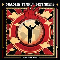 The Reign - Shaolin Temple Defenders
