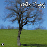 LIVING NOW - Alex Cundari