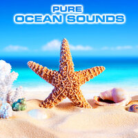 The Beach Noise Healing - Ocean Sounds FX & Nature Sounds FX & Pure Ocean Sounds & Ocean Atmosphere Sounds & Nature Sounds 3D & Atmospheres Sounds