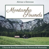 Paraíso - João Lucas Montanha
