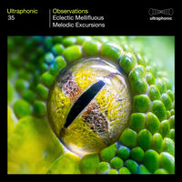 Broomwood - Ultraphonic