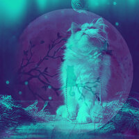 Background for Cozy Kittens - Música para dormir Gatos