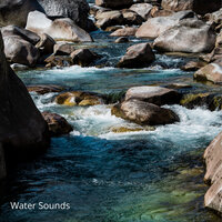 River Ending - Weather and Nature Recordings & The Outdoor Library & The Nature Soundscapes