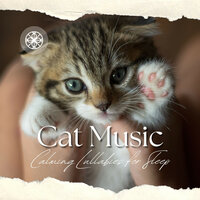 Calm Down Cat - Relax My Cat