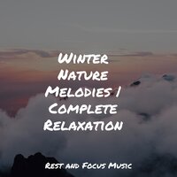 Soft - Deep Sleep Music Academy & Relaxed Minds & Asian Zen Spa Music Meditation