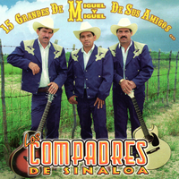 Somos Ajenos - Los Compadres De Sinaloa