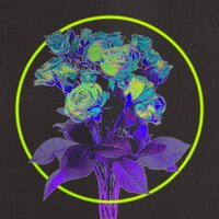 Sunset Jam - Baltra