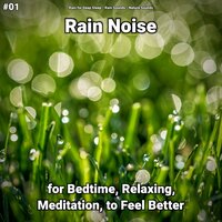 Sounds to Fall Asleep Fast - Rain for Deep Sleep & Rain Sounds & Nature Sounds