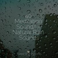 Rain Drops - Sleep Recording Sounds & Nature Sound Series & Musique Zen Garden