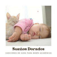 Llamada de Codorniz Tranquila - Canciones de Cuna para Bebés Acadèmico