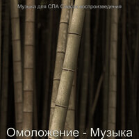 Звуки (Омоложение) - Музыка для СПА Список воспроизведения
