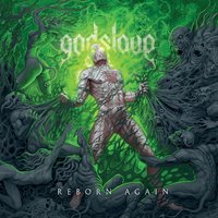 Born to Fight - Godslave