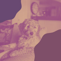 Deluxe Music for Separation Anxiety - Relaxing Dog Music Playlists