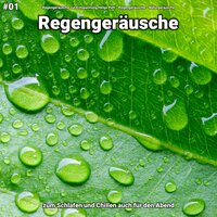 Regengeräusche, pt. 45 - Regengeräusche zur Entspannung Helge Patt & Regengeräusche & Naturgeräusche