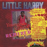 So Many Hot Girls - Little Harry & High Smile HiFi