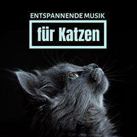 Entspannende Atmosphäre - Katzenklo