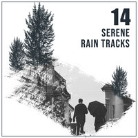 Rain on the Lake - Sounds of Nature Relaxation, Nature Sound Series, Ambient Nature Project & Ambient Nature Project & Nature Sound Series & Sounds Of Nature Relaxation