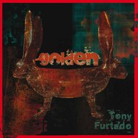 In the Hollow - Tony Furtado