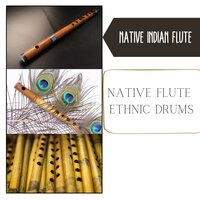 Native Stories - Native Indian Flute