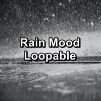Moderate Rain To Help with Insomnia To Relax and Loop for 8 Hours - Thunder Sounds & Thunder Storm & Thunderstorms