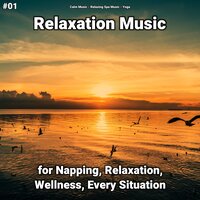 Relaxation Music Pt. 60 - Calm music & Relaxing Spa Music & Yoga