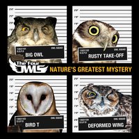 Champions - The Four Owls & Q-Unique