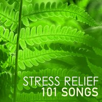 Anxiety Relief - Anti Stress