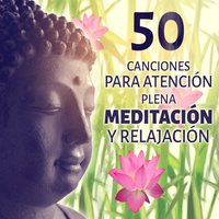 Descanso Mental - Academia de Música para el Alma