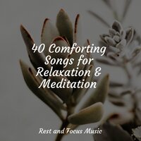 Silent Symphonies - Best Kids Songs & Meditation & Stress Relief Therapy & Relaxing Nature Music