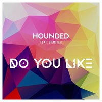 Do You Like (feat. Bamiyah) - Hounded