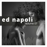 Signals - Ed Napoli