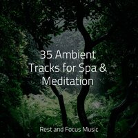 Taking Flight - Binaural Beats Isochronic Tones Lab & Baby Sleep Music & Yoga Namaste