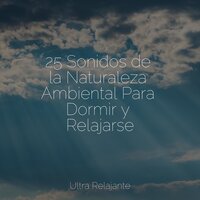 Visiones Doradas - Academia de Música para Massagem e Relaxamento & Mantra para Meditar & Canciones Infantiles Para Niños