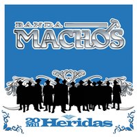 Como anillo al dedo - Banda Machos