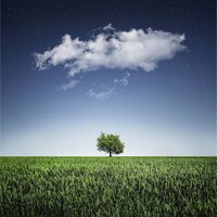 Aliento Divino - Canciones Infantiles De Niños & Canciones Para Niños & Sonidos de la Naturaleza Relajacion