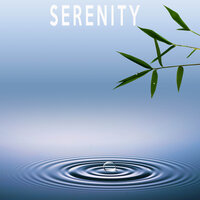 Inquisitive - Color Noise Therapy & Therapeutic Audio & Relax Meditate Sleep Media
