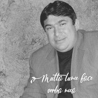 Tu unde tristete vezi - Stefan de la Barbulesti