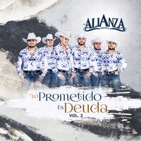 Mi Hermosa Princesa - La Alianza Norteña