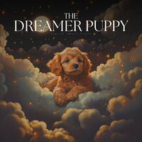 Contemplative Clarity - Relaxing Pet Music