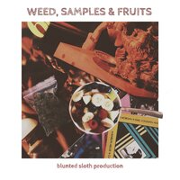 Baby don`t - Blunted Sloth